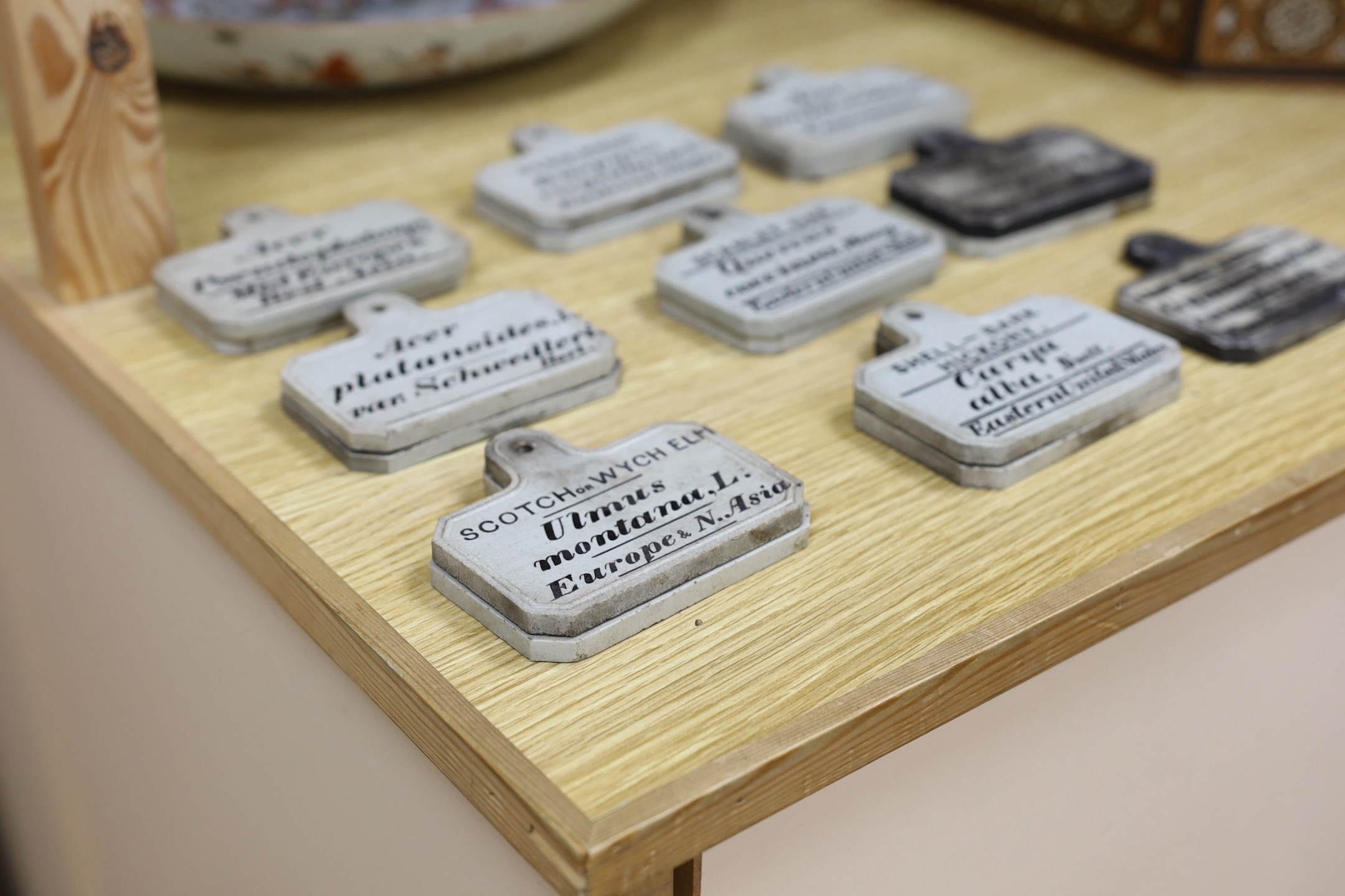 A collection of seventeen George Maw and Co. Stoneware botanical markers marked ‘R.G KEW MAW & CO BENTHILL BROSELEY’